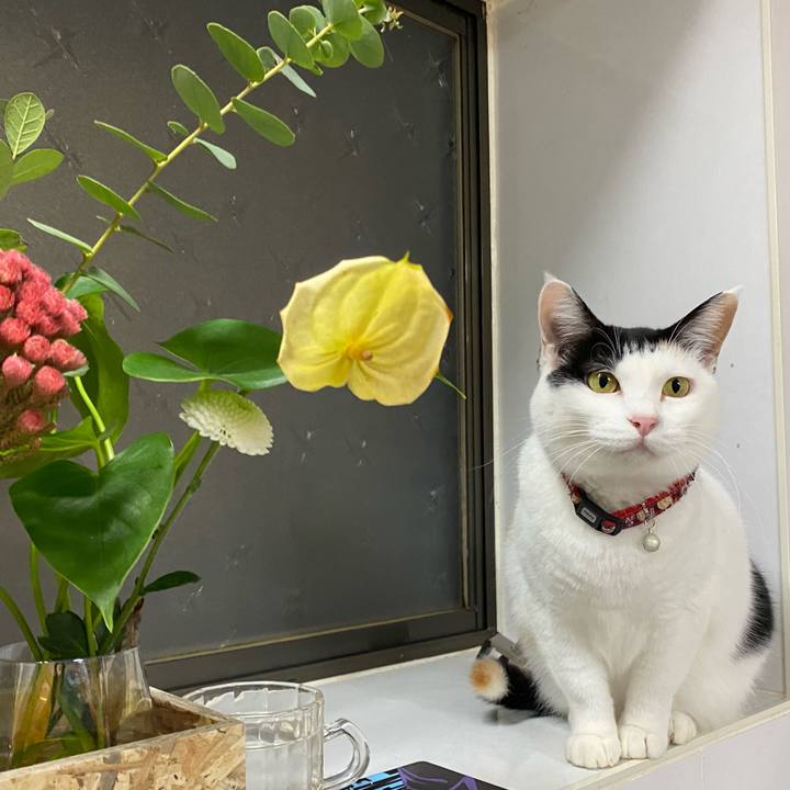 E85b88b9 0c5e 46b5 afa9 facb60e2690b 1669544075389