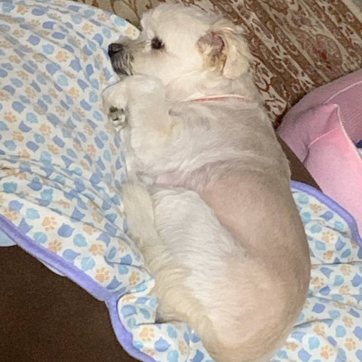 E85bb0cc f961 4b0f a59b b8852c866460 1629894178167