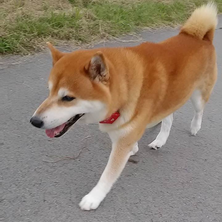 E85bdf0b 9227 412c 9f51 0e4dc7682914 1631836024439