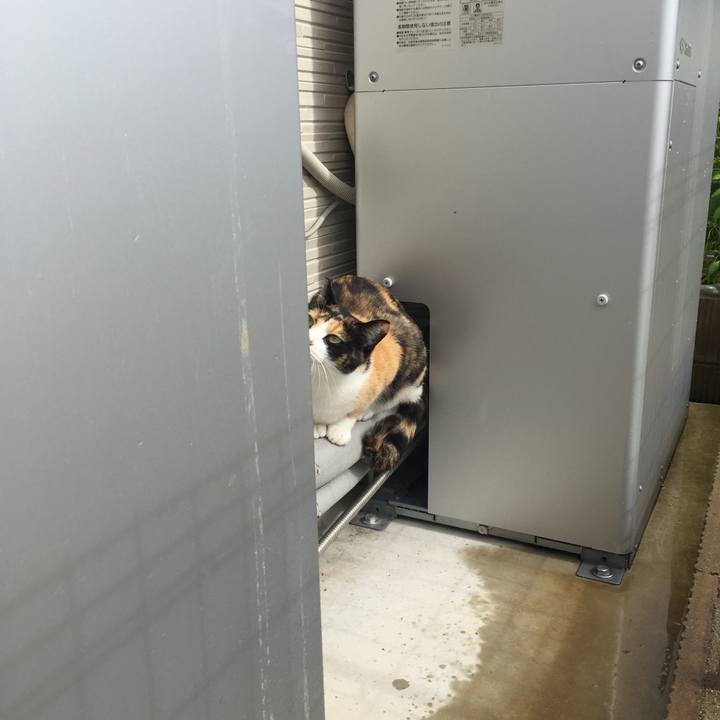 E85beb28 9d33 46ed 938f 5954e9d6ad82 1508463878869