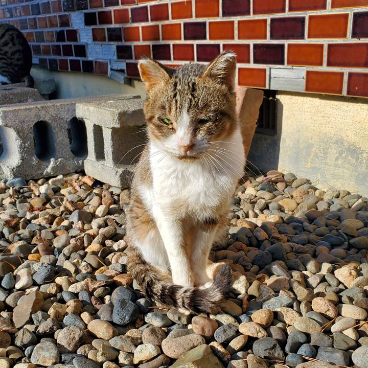 E85c7fb9 1e22 4ddd bc39 fd3104c6834b 1700799142864