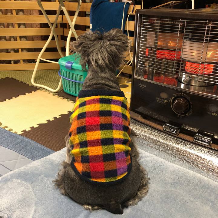 E85cb620 34fc 4b8f 9946 3fc91572b6c5 1700266698913