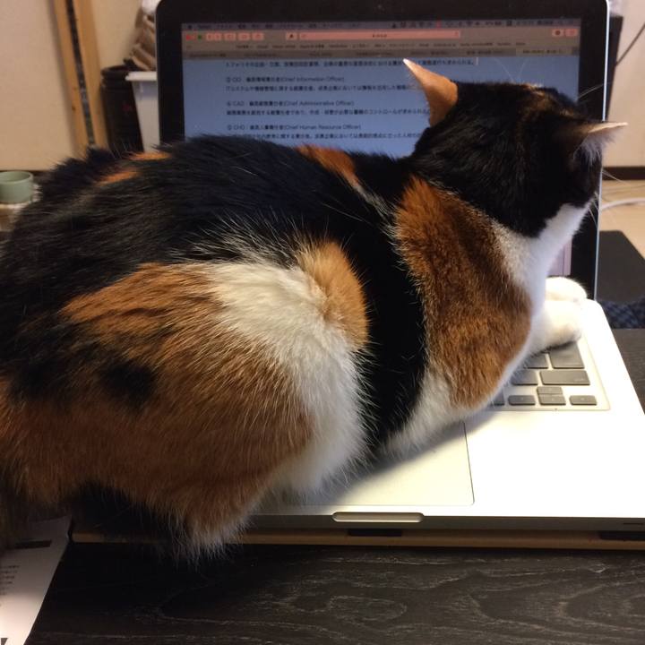 E85cbf9e ab58 4081 8fb0 720ed67b8719 1586062222314