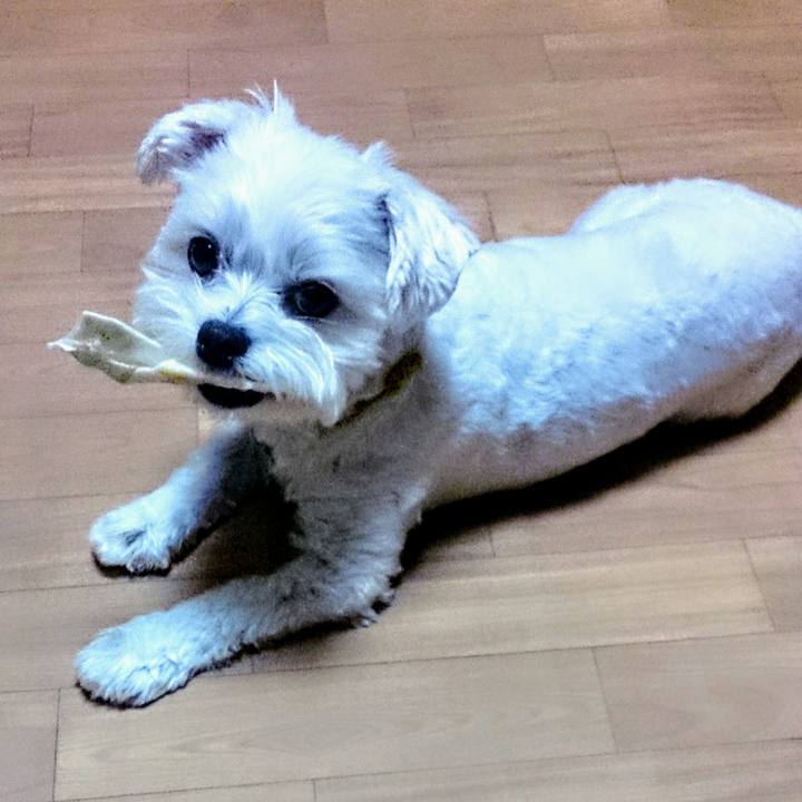 E85cfbd8 10e8 43e4 be0c 9a69b168c2aa 1507881007038