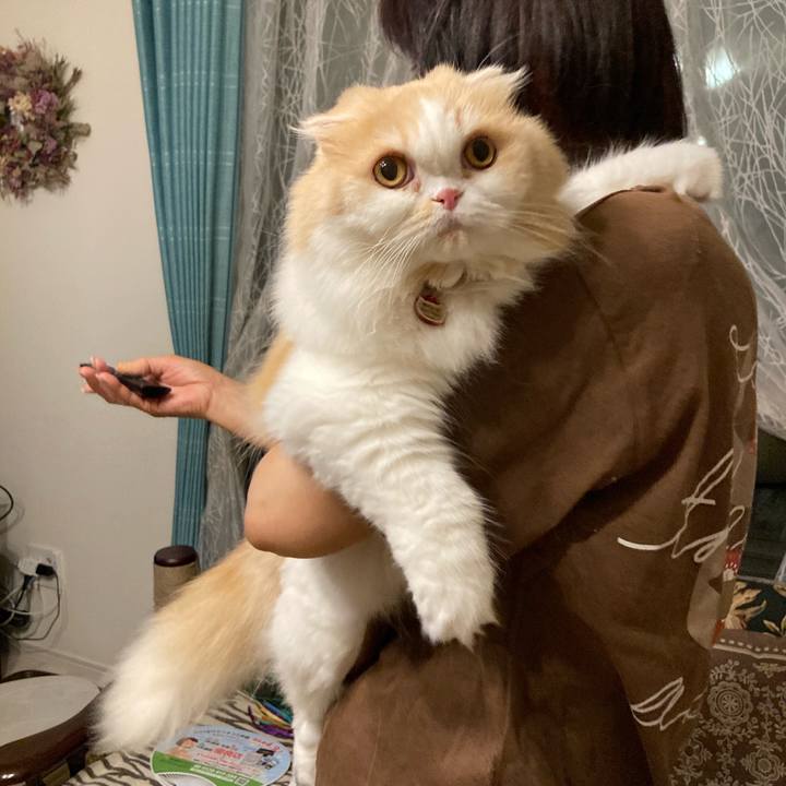 E85d111e f617 4ea6 84ae 0be3d9873c17 1660352497069