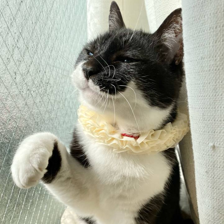 E85d1340 b386 4c31 a795 93100b91879b 1739527050771