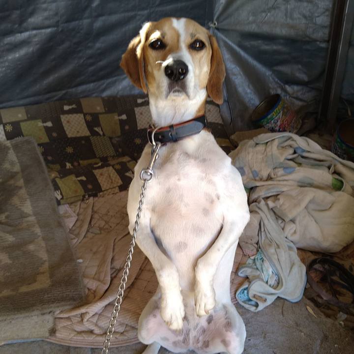 E85d3118 3b9d 4012 9e65 0e8ad15f86ef 1630041028247