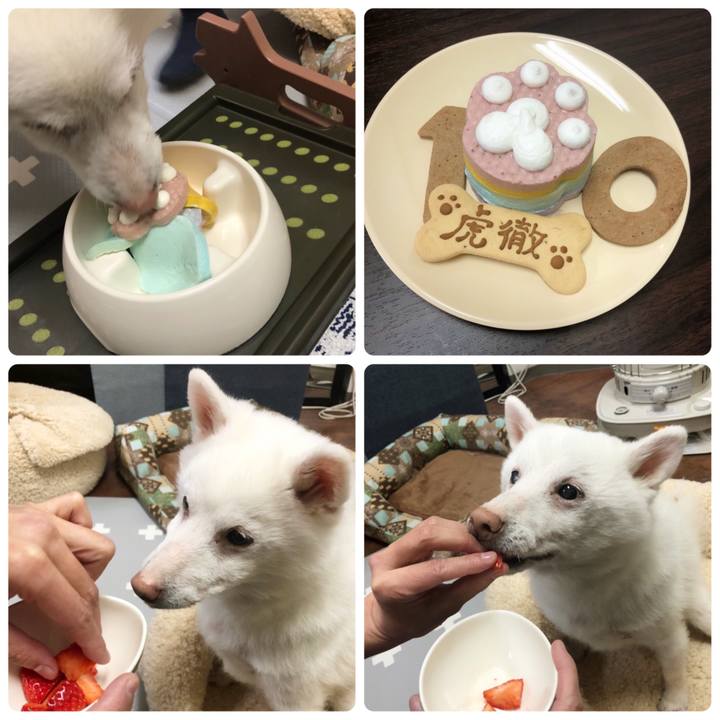 E85d3872 5d19 491f 9ac0 2f3a4833250b 1644323879979