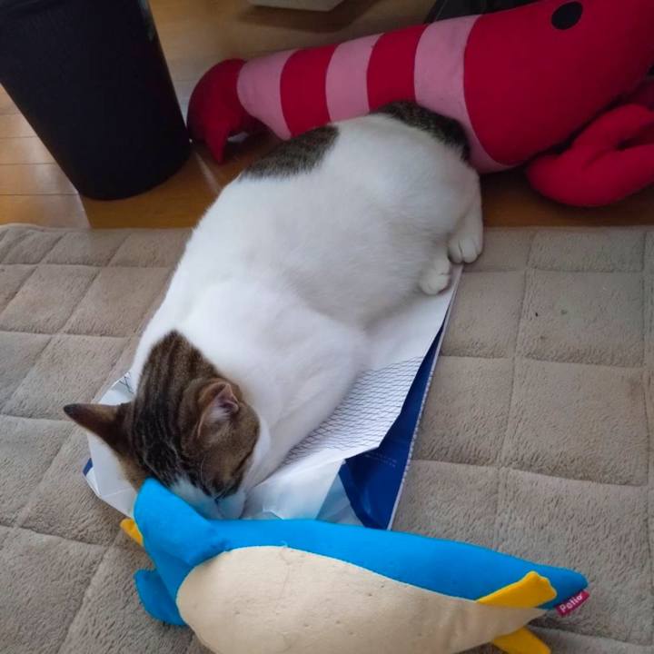 E85d451b 660b 4a61 803e fbcbde7c0593 1714453715284