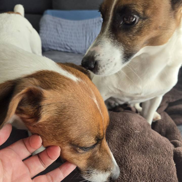 E85d5f45 9071 4e3e a846 2bdd28c1c7cc 1770089521871