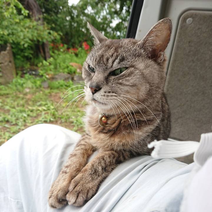 E85d71dd 5208 44e9 b9ca a3263b5b09f6 1594068665031