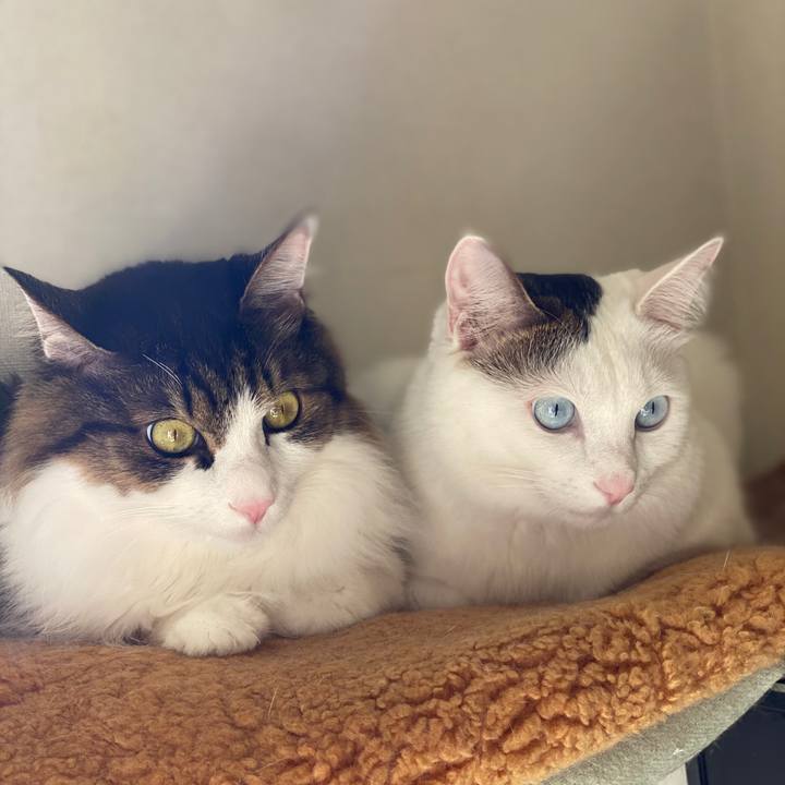 E85d7751 211b 48c9 b79a 514599efc3ac 1575502341212