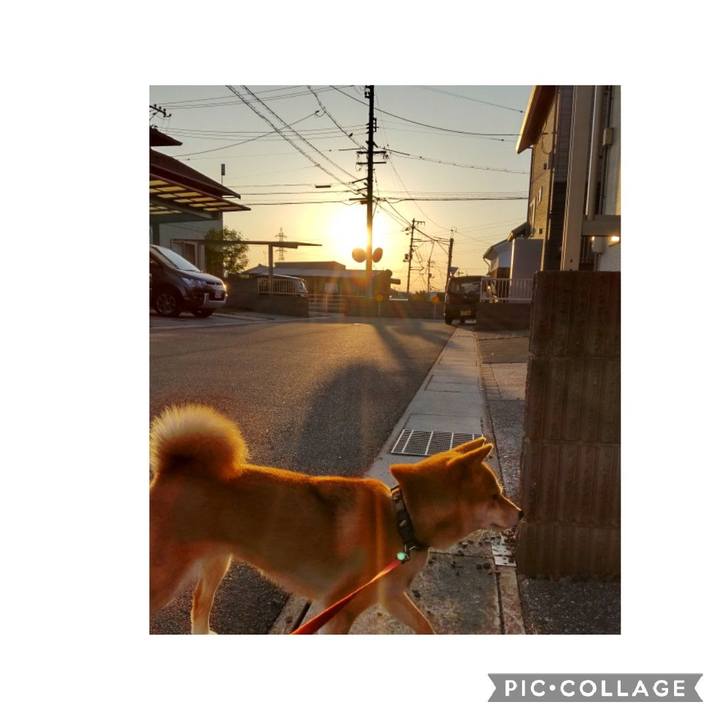 E85d9a66 7f65 484d adea 26a2435a3ac2 1654724488397