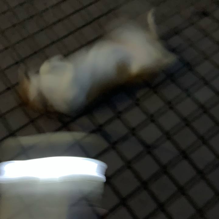 E85dc0d4 c538 4973 b4ae 5a0f5529046a 1567592270182