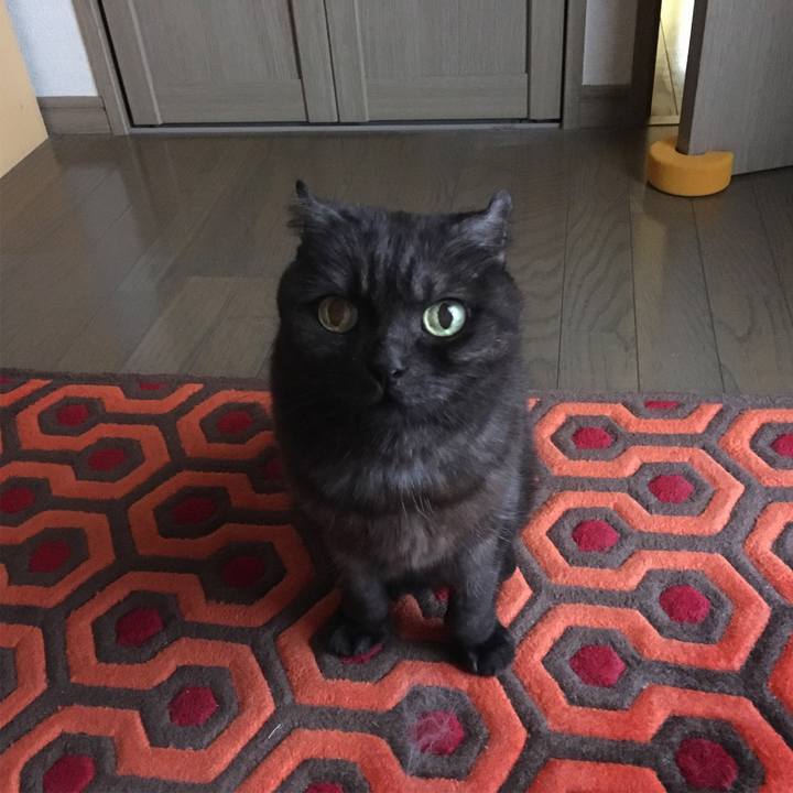 E85e0343 7c65 43f0 b2a6 18c0106ac957 1556919147627