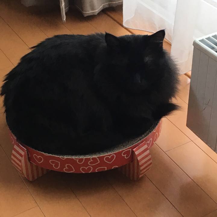 E85eb429 8194 48b0 9c4c ede4a8ca012a 1550388135018