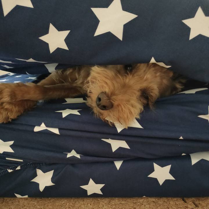 E85ed128 0120 4c86 9981 8912e32148ce 1596579991876