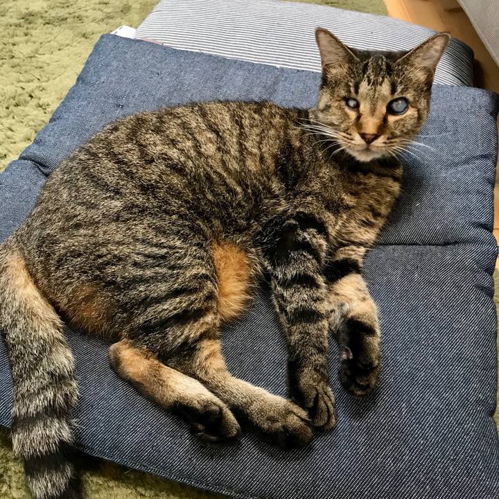 E85ef412 34bf 48b4 85bd 1c036336665c 1600509677311