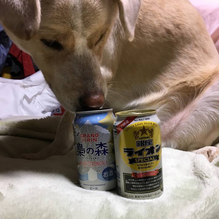 E85f35ae 0e8f 433c a7a3 08a119744ce5 1514299583417