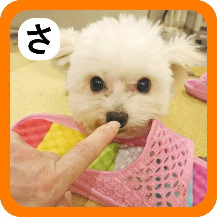 E85f4025 137c 4d49 b82c aaa9d3e16b72 1515068166079