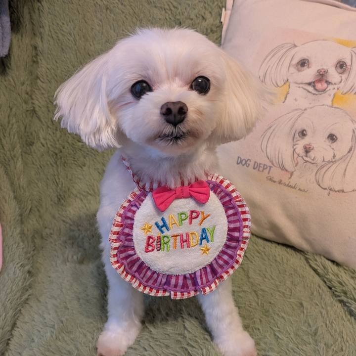 E85f67a2 c23c 4e9a 9a7a 2443315e09fe 1756767137235