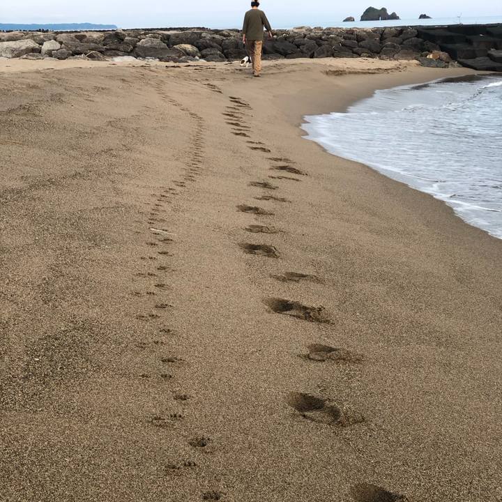 E85f6d98 f73d 4aa7 9520 1ed1c326591e 1719289640819