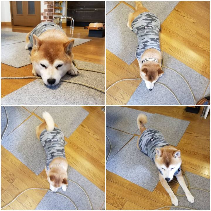 E85f6ecd 1f8f 4759 9ea3 a658326513cc 1614209643002