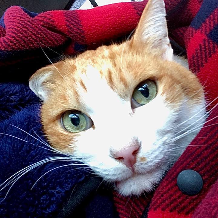 E85f91df 5750 475a 8f45 5e6df598832d 1575356766140