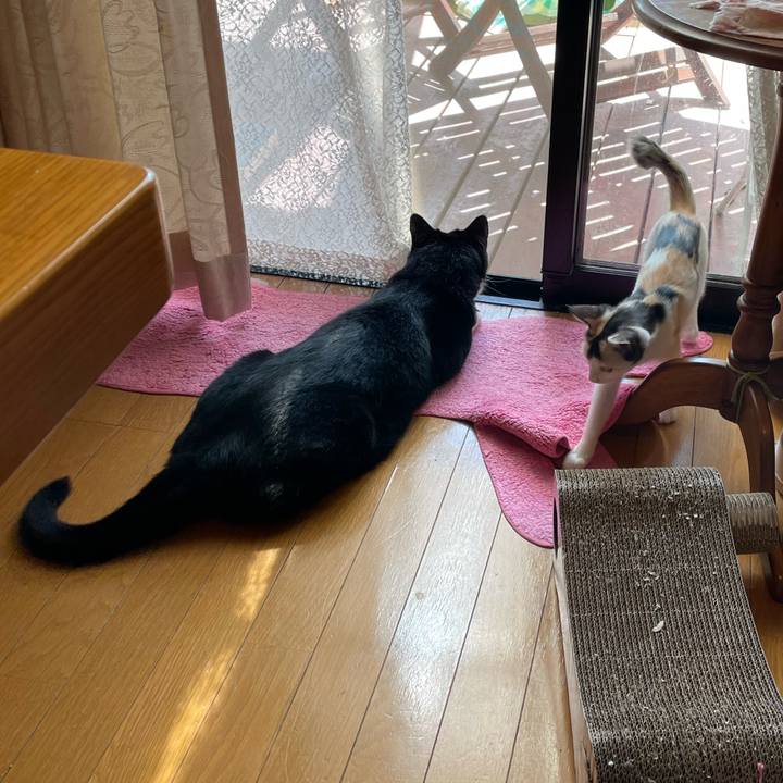 E85fa0a3 6cdb 41d1 a689 50c7fe90fa93 1661733356670