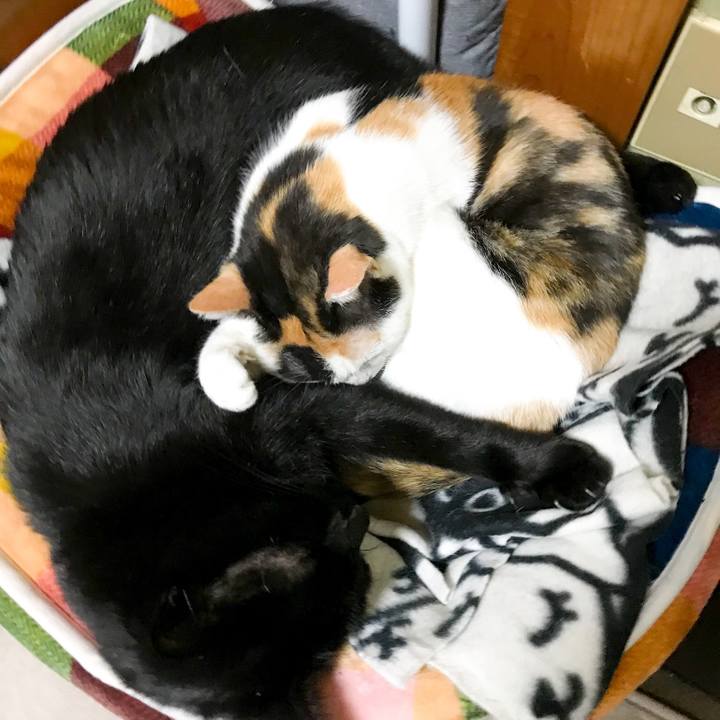 E85fc0ee 0ebe 4b92 8d95 b8928d8a17d0 1512436502996