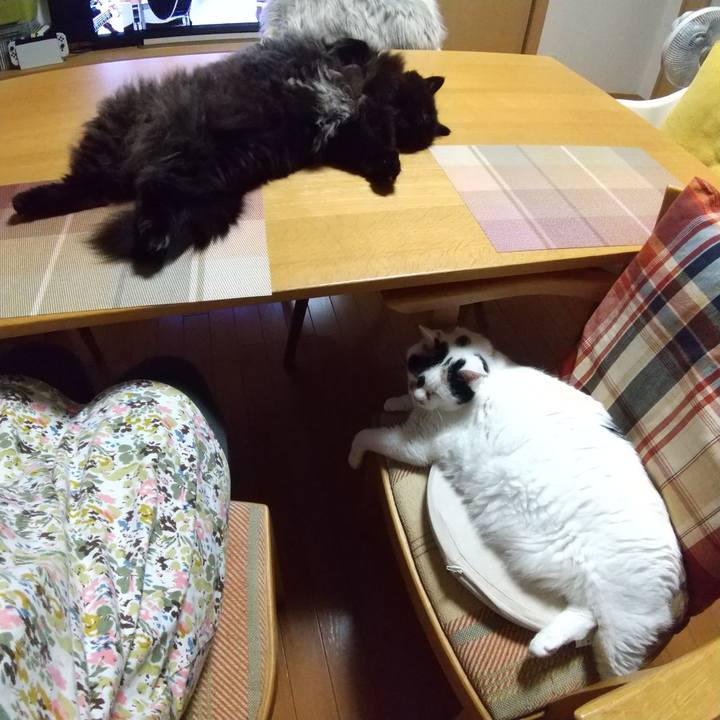 E85fd475 a6c4 419d 909f 53093605257d 1656684015434