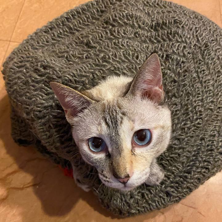 E85feb29 1ddf 4fb1 a6ca 3c754c0241af 1688289805804