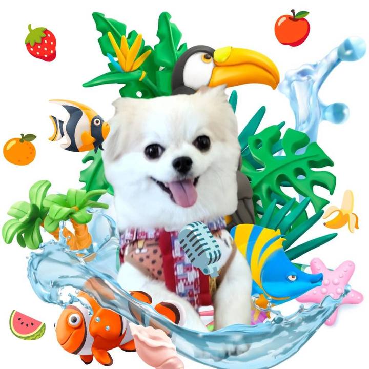 E85feb3e 4ba4 4435 81bc 116dab9af53b 1755304331611