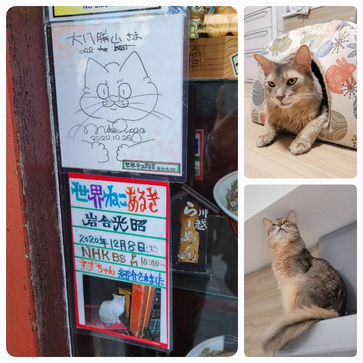 E86003e7 ca10 4852 86d2 f7c5e5bfbc95 1651386895819