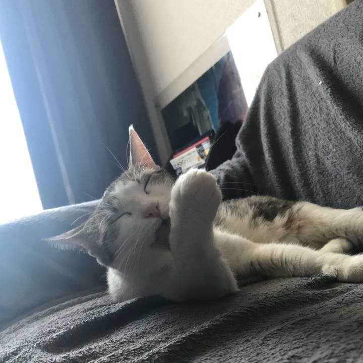 E86022c1 75e0 40ab bcd9 2ddc60a73352 1719350159134