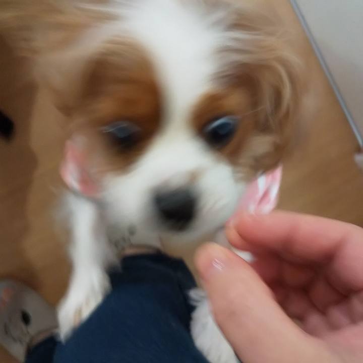 E8607c3f bc4e 4517 8867 86f3aa525164 1606480546892