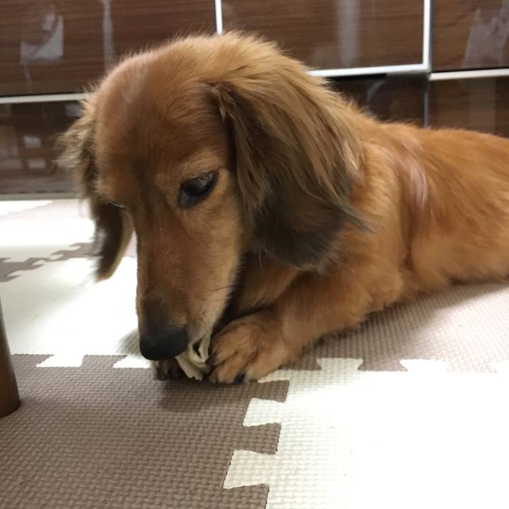 E860959e a3a0 42de 9196 cb67c935317c 1566307187974