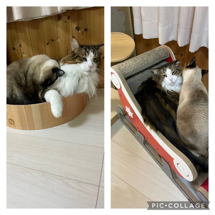 E860b30f e38a 4953 850c c21573fa4954 1733000431132