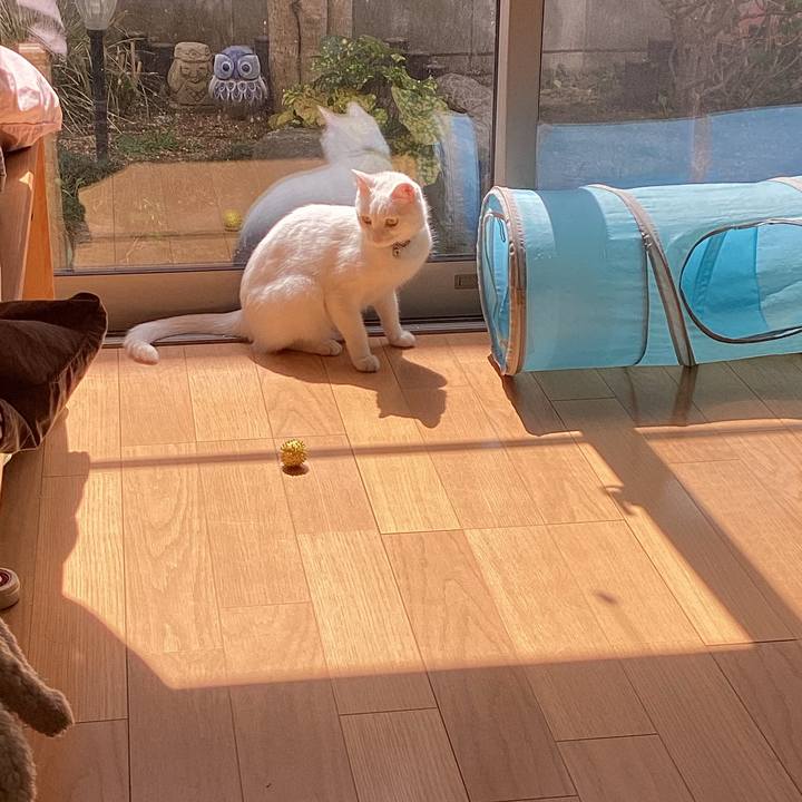 E860c4b4 d247 4a2e 90fb f2f29c0a8066 1648620469826