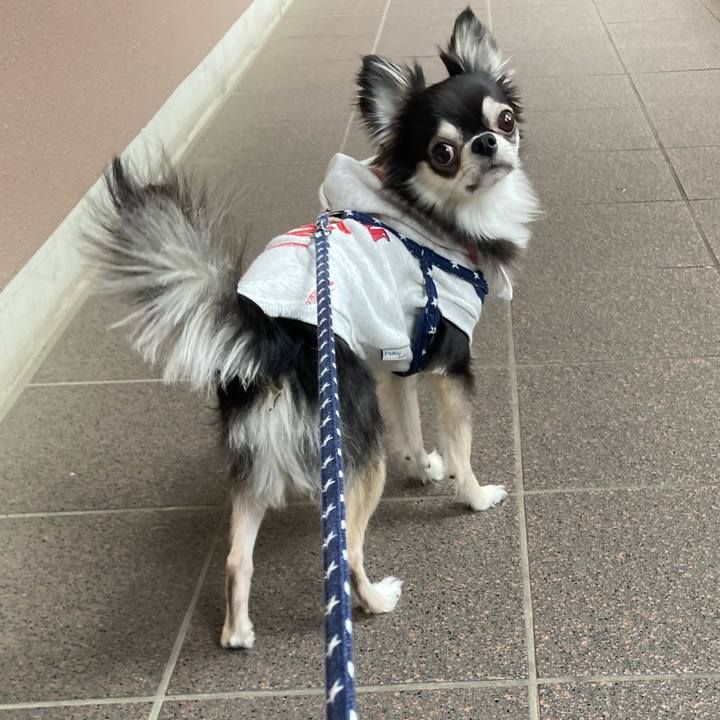 E860c7bd 0857 417f b6c5 e55e5fc732d5 1648993175847