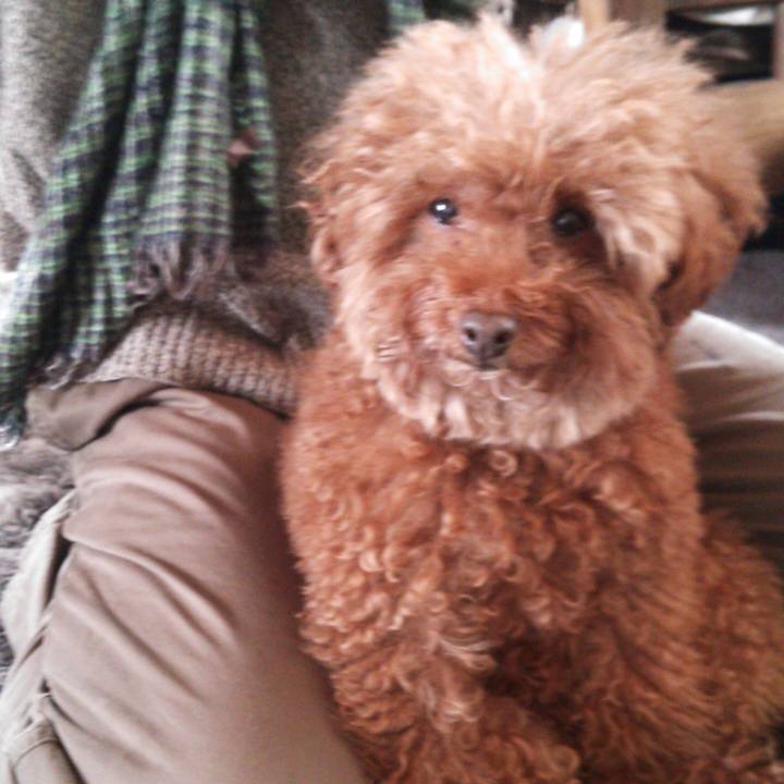 E860fd69 b2cf 4409 8d61 62d7014c075d 1549428458255