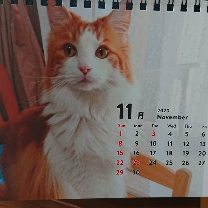 E861161f 2284 432a a546 d1cfb10cf0f6 1575088294829