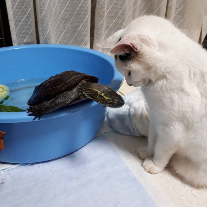 E8612ad9 811c 495d a9f3 5c97158b37f3 1661765363547