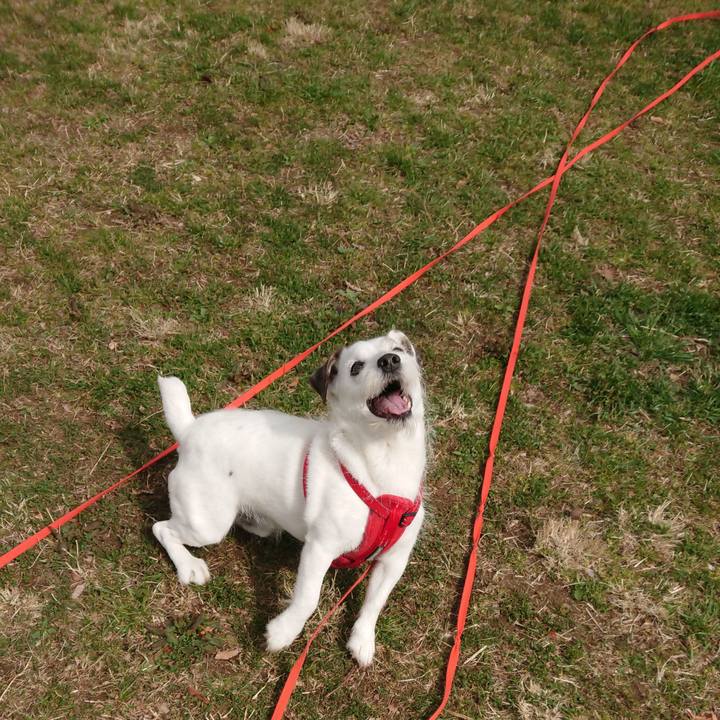 E8615347 76a0 4264 b1a9 8c1d9055ecd4 1520638983867