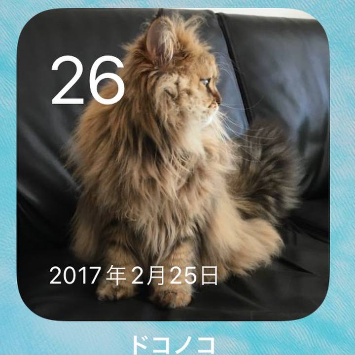 E8617c2f d654 4b20 936b 9a6d10df45e4 1645877791822