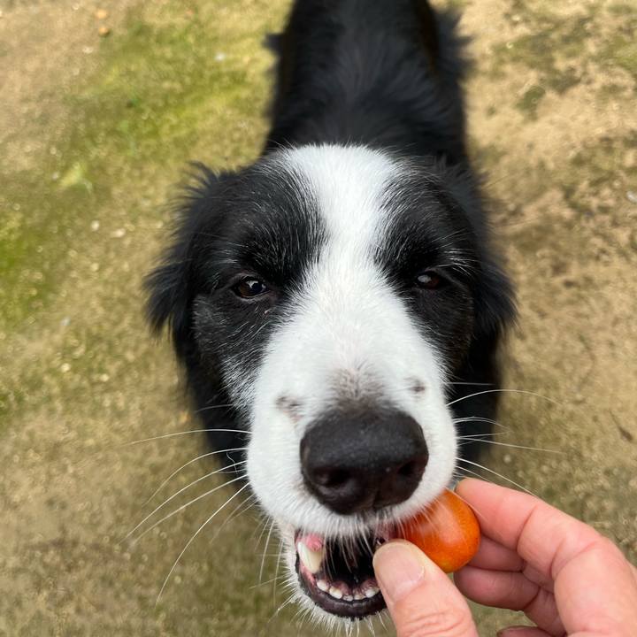 E8617e18 347f 42e8 b8ef c11b446a1618 1758413899015