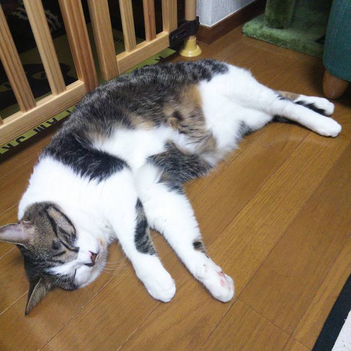 E86187e7 062e 49de ba3b 947c4f50d696 1656853718515