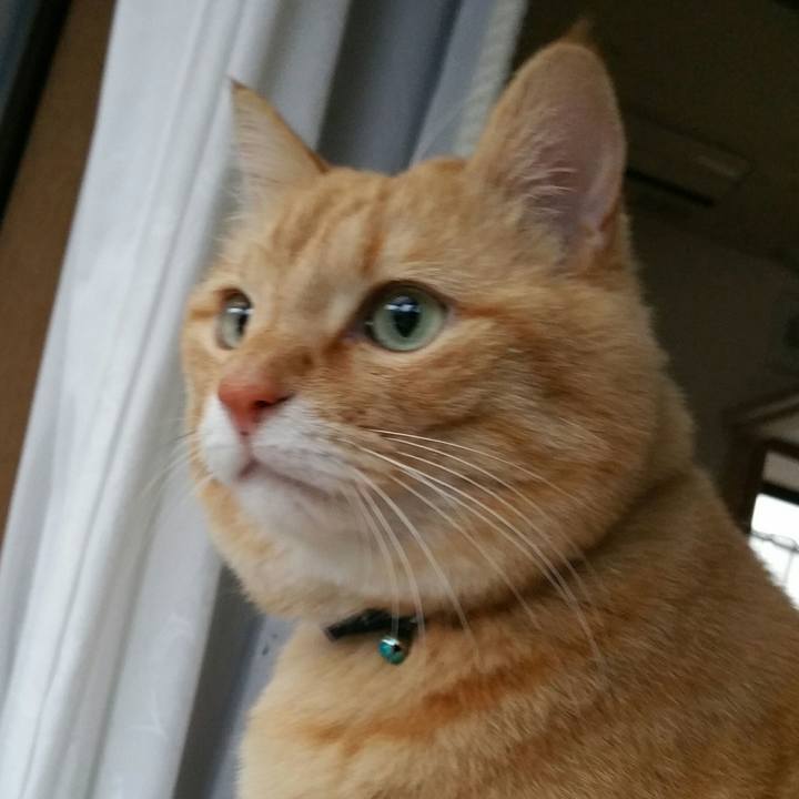 E8618aa0 e73b 4bb9 bc04 bfdcf2cf115f 1520378547545