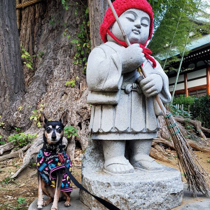 E86197a1 3d3d 421a 9ce1 707222015efc 1667117570518