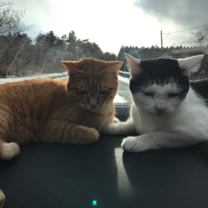 E861a55c 7cf1 4461 9ac7 0e987912f571 1515216907431